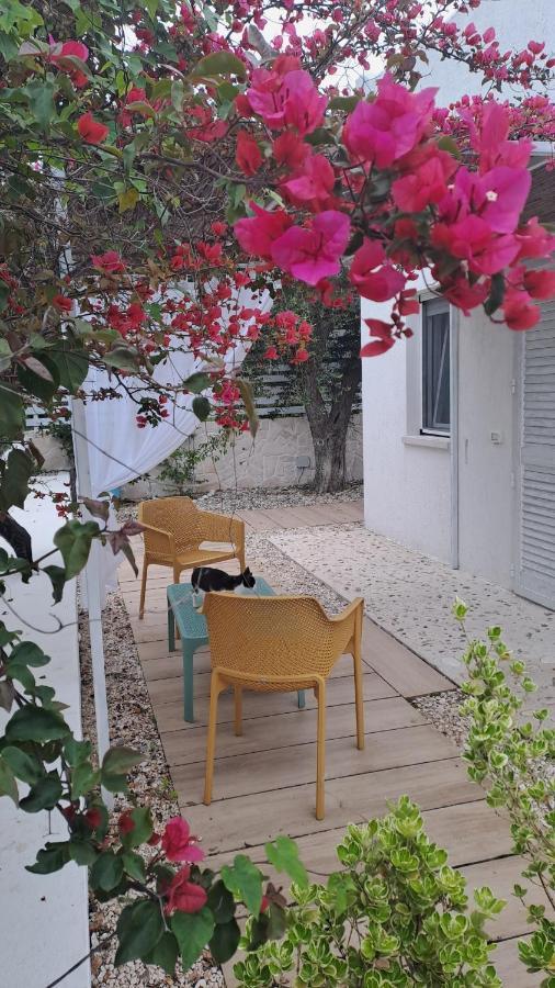B&B Casrienn Mattinata Exterior photo